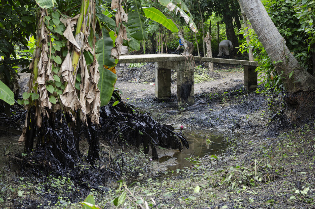 Desde Hace M S De D As Derrame De Pemex En Papantla Afecta