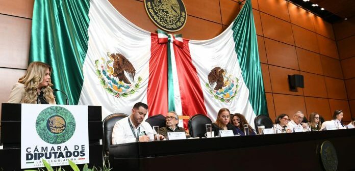 Exige Maryjose Gamboa bajar tarifas eléctricas en Boca del Río: el servicio es muy caro y malo