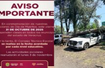 Caen árboles y planteles suspenden actividades en Xalapa este miércoles por “norte” sin que la SEV detuviera clases, pero se concede “puente” de Día de Muertos este viernes