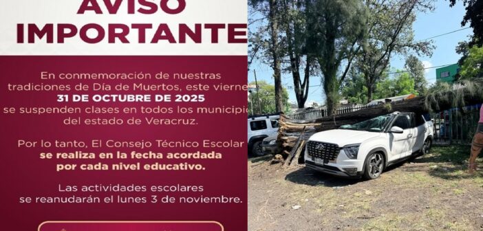 Caen árboles y planteles suspenden actividades en Xalapa este miércoles por “norte” sin que la SEV detuviera clases, pero se concede “puente” de Día de Muertos este viernes