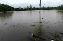 Sheinbaum anuncia plan de dragado de ríos y reubicación de viviendas en el norte de Veracruz tras inundaciones