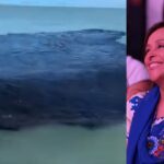 EL DESASTRE Y LA ABULIA