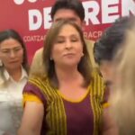 EL GOBIERNO DE LOS DESASTRES