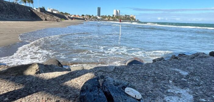 Rocío Nahle denuncia “ataque sistemático contra Veracruz» tras derrame en el Golfo de México; dice que lo que llegó a las costas “son como gotas, pero grandes” Rocío Nahle denuncia “ataque sistemático contra Veracruz» tras derrame en el Golfo de México; dice que lo que llegó a las costas “son como gotas, pero grandes”