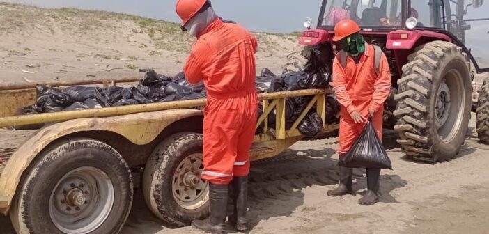 Levantan 91 toneladas de residuos impregnados con hidrocarburo en playas de Veracruz; gobierno federal aún no sabe el origen del derrame e informa que limpieza avanza, pero según Nahle está “completamente limpio”