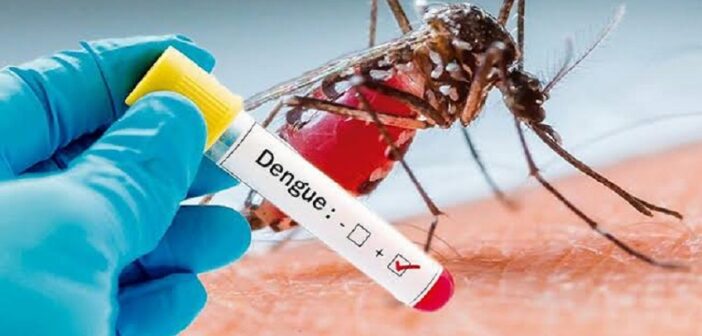 Veracruz es segundo lugar nacional en dengue; hay dos muertos y casi cuatro mil casos probables en la entidad