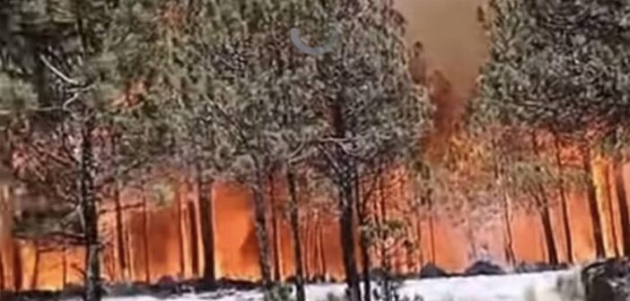 Gran incendio en el Cofre de Perote: trabajan fuerzas de tareas de toda la región para sofocarlo