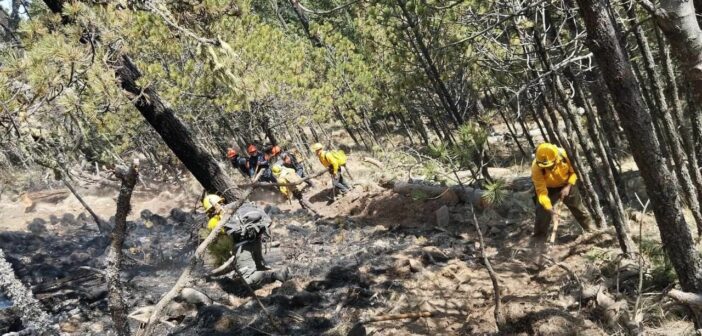Casi 600 brigadistas refuerzan combate al incendio en el Cofre de Perote