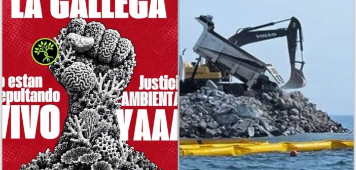 Convocan a megamarcha este domingo  para exigir un alto a la destrucción del arrecife La Gallega en el puerto de Veracruz
