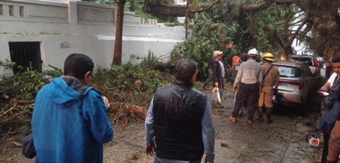 Fuerte lluvia en Xalapa provoca árboles caídos y deslizamientos de tierra; precipitaciones llegaron hasta 100 mm en el noroeste del municipio