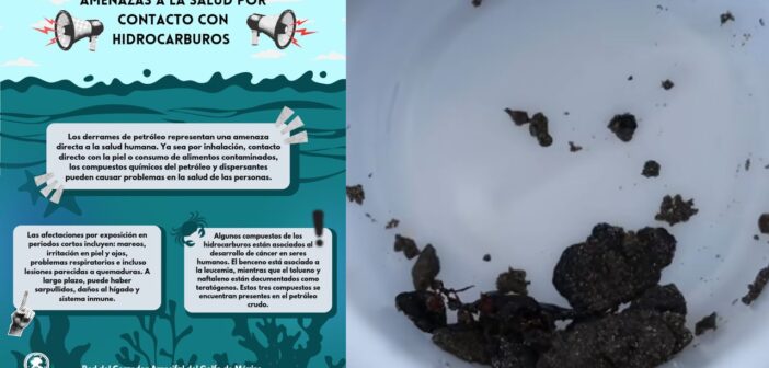 Dice Nahle que “estamos listos para recibir turistas esta Semana Santa”; alertan ambientalistas sobre llegada persistente de hidrocarburo y sus consecuencias para la salud