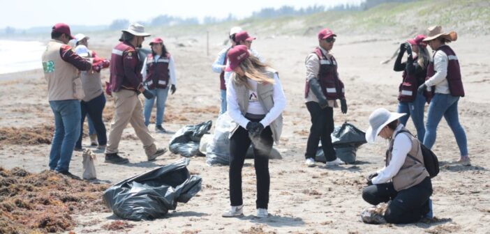 Recolectan más de 700 toneladas de crudo del derrame en el Golfo de México: sigue llegando hidrocarburo a las costas