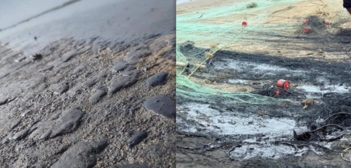 Cierran playas en municipios del sur Veracruz por grave contaminación de hidrocarburo; invade derrame más de 50 kilómetros Cierran playas en municipios del sur Veracruz por grave contaminación de hidrocarburo; invade derrame más de 50 kilómetros