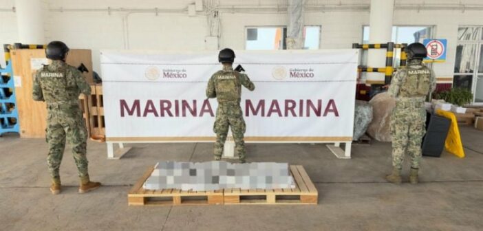 Aseguran más de 200 kilos de droga en el puerto de Veracruz