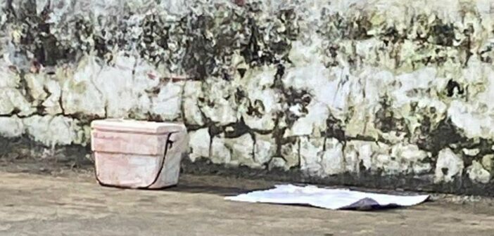 Dejan más hieleras con restos humanos en las calles: ahora en Lerdo de Tejada y Ángel R. Cabada; van cinco en los últimos tres días en el sur de Veracruz Dejan más hieleras con restos humanos en las calles: ahora en Lerdo de Tejada y Ángel R. Cabada; van cinco en los últimos tres días en el sur de Veracruz