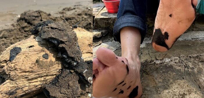 Playas en Alvarado siguen recibiendo chapopote: gobierno solo se concentra en Veracruz-Boca del Río