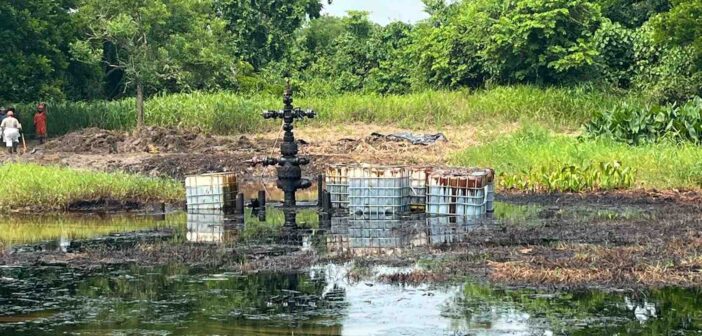 Se reactiva fuga de hidrocarburo en pozo de Pemex en desuso de Minatitlán: reportan muerte de peces en la zona